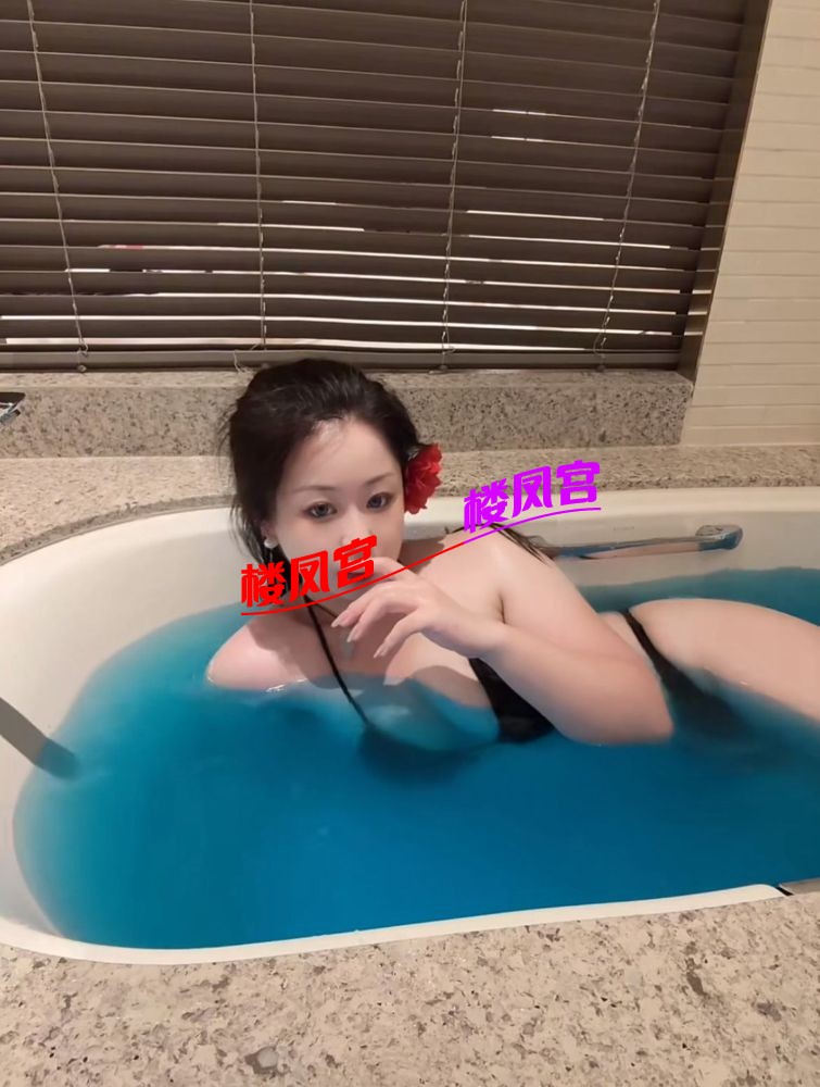 岛.jpeg
