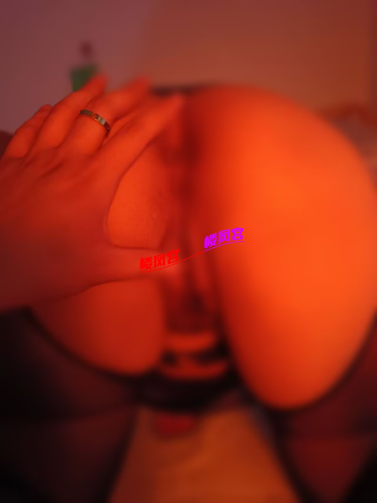 1000012070.jpg