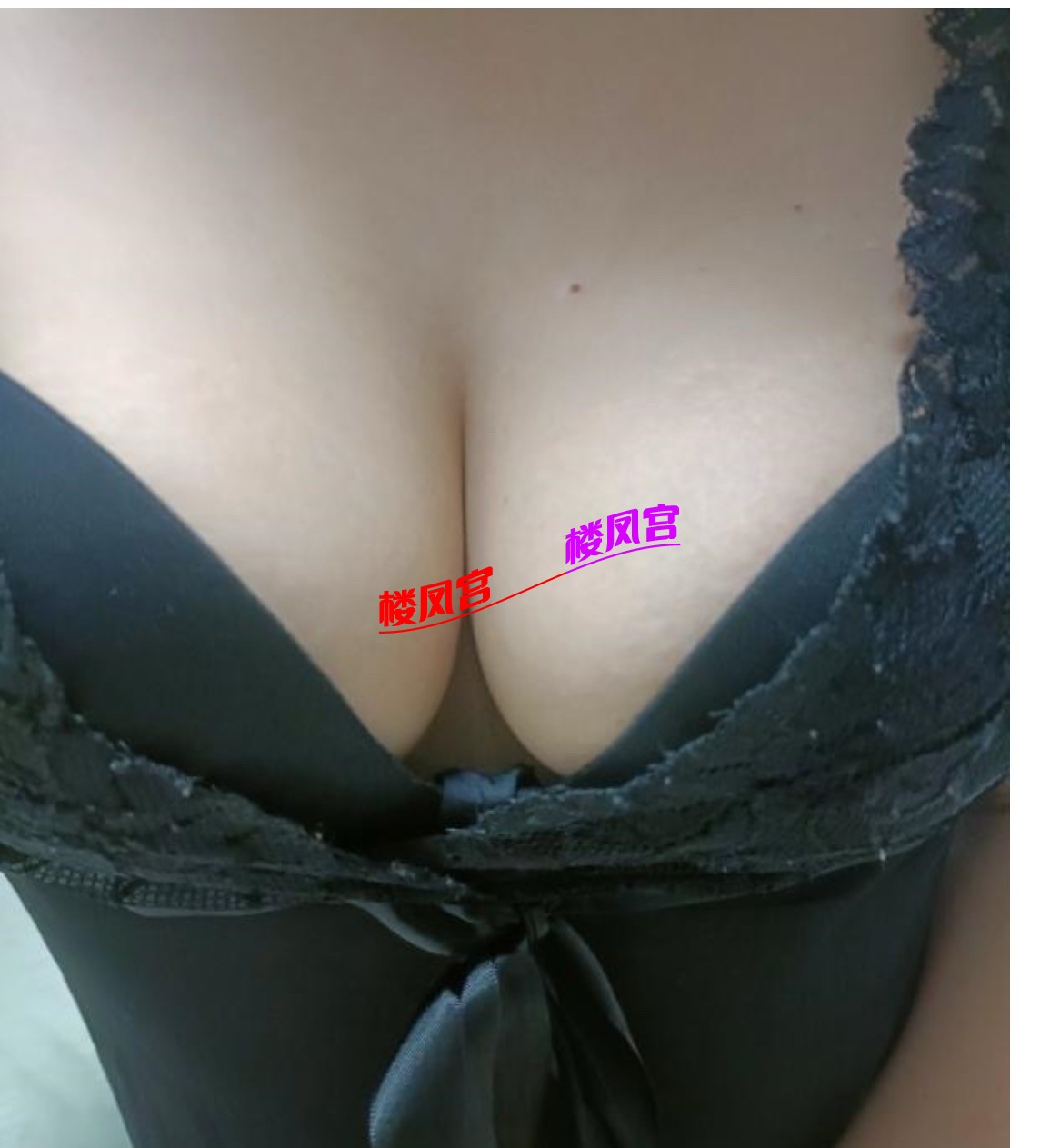 IMG_2384.jpeg
